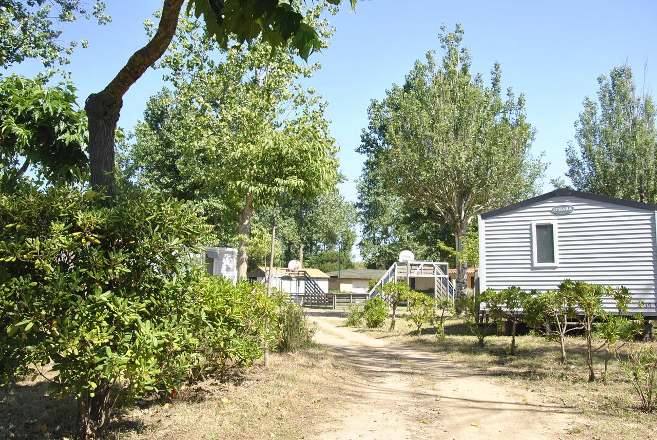 Camping La Dune Vias Ngoại thất bức ảnh