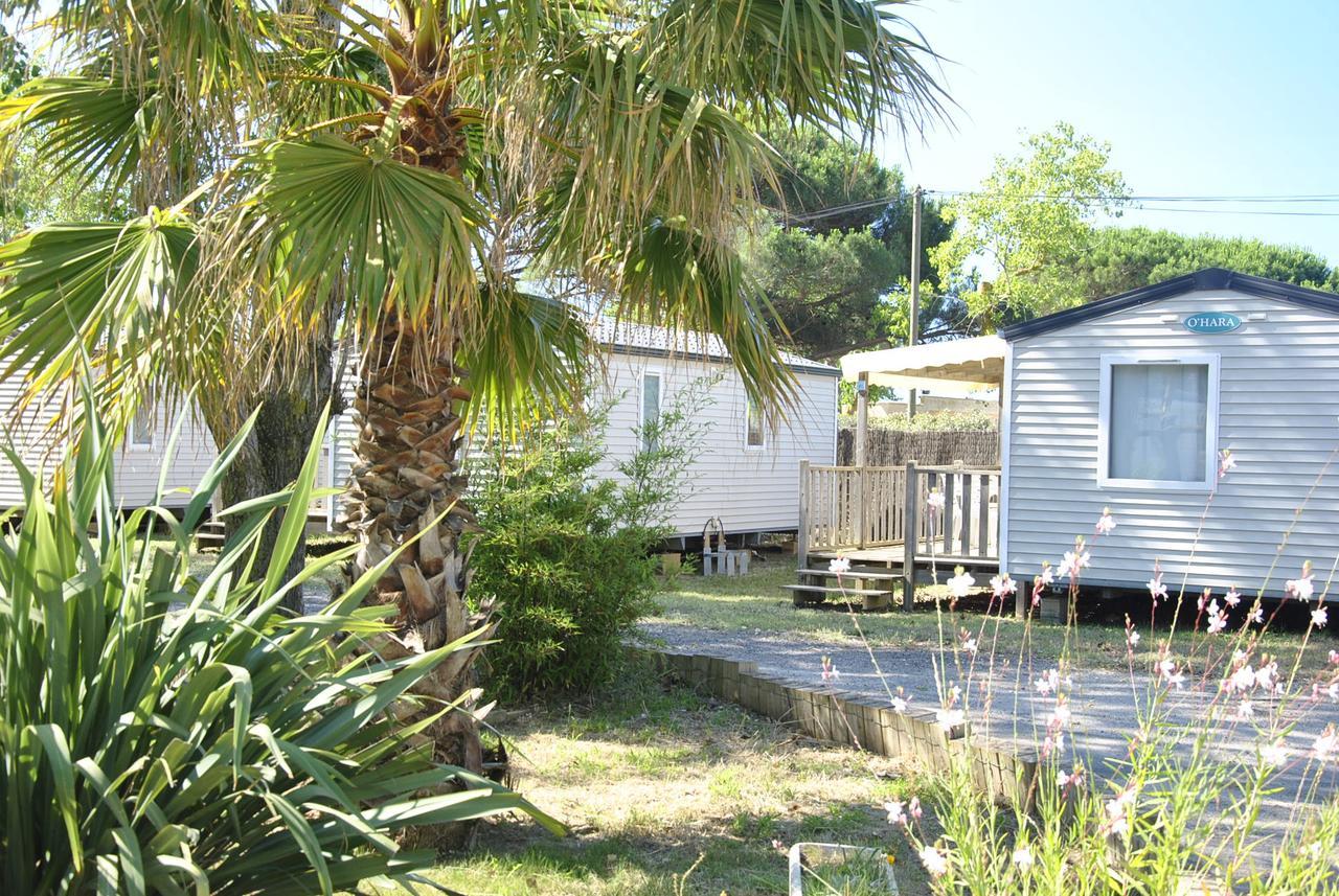 Camping La Dune Vias Ngoại thất bức ảnh